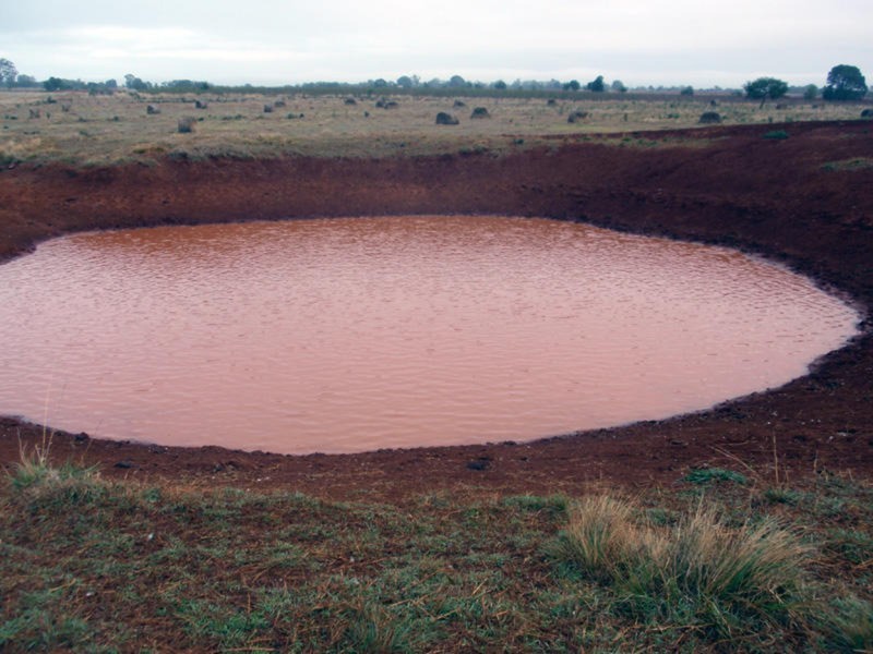 Wattle Grove QLD 4610