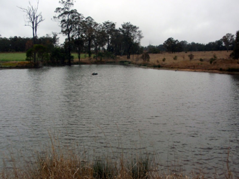 Wattle Grove QLD 4610