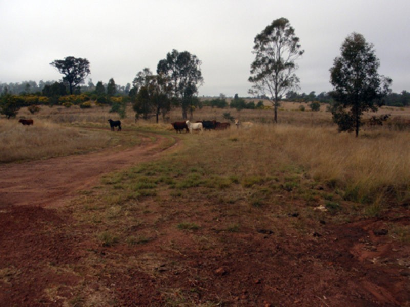 Kinleymore QLD 4613