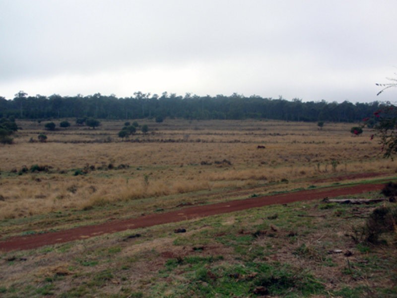 Kinleymore QLD 4613