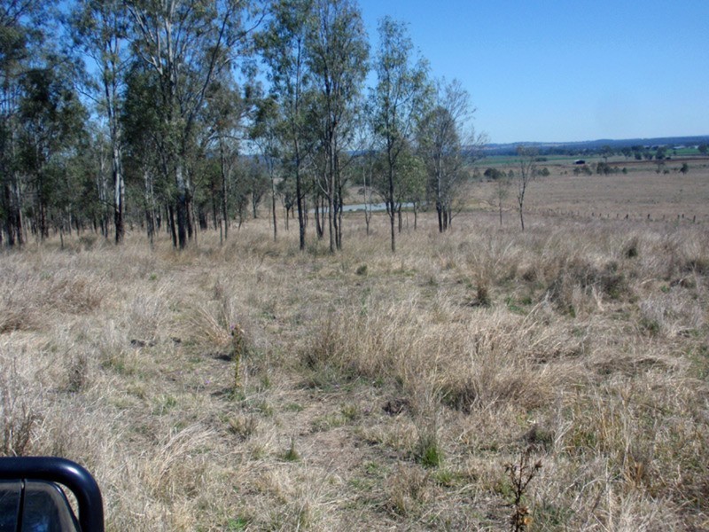 Mondure QLD 4611