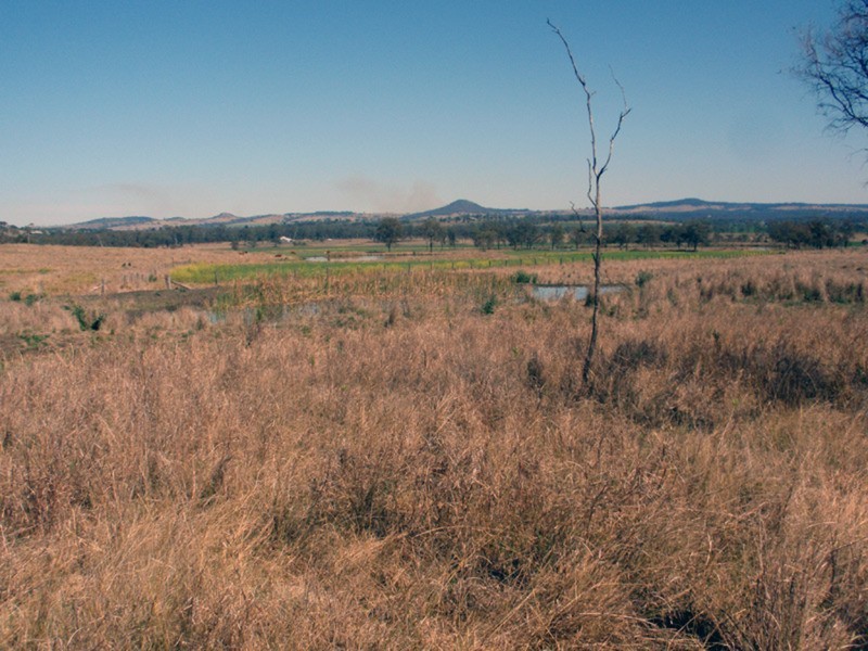 Mondure QLD 4611