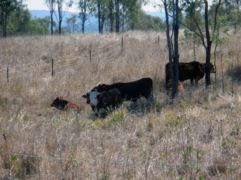 Mondure QLD 4611