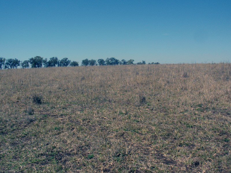 Mondure QLD 4611