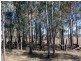 Mondure QLD 4611
