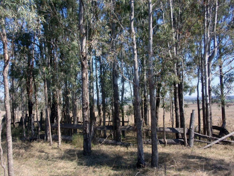 Mondure QLD 4611