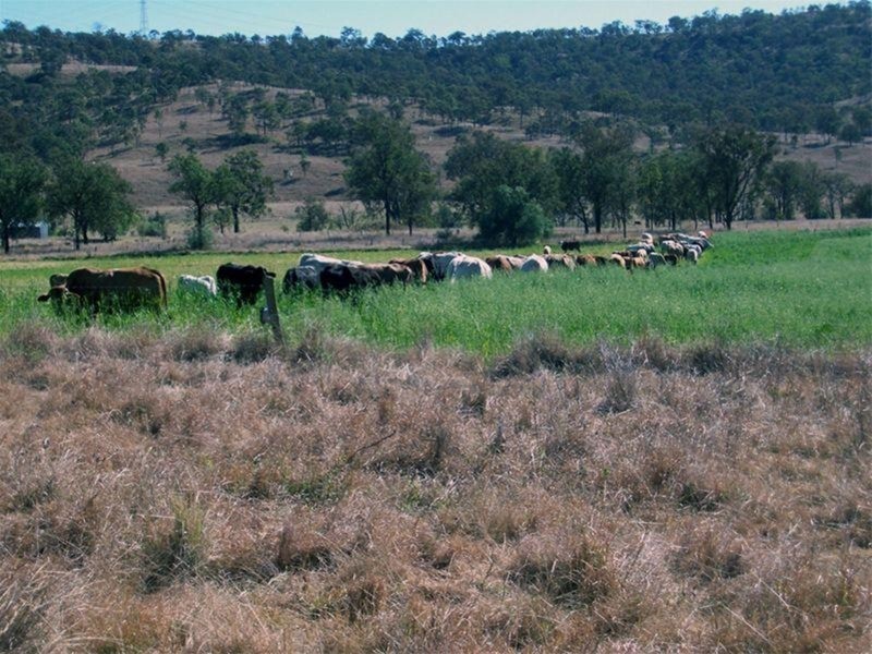 Alice Creek QLD 4610