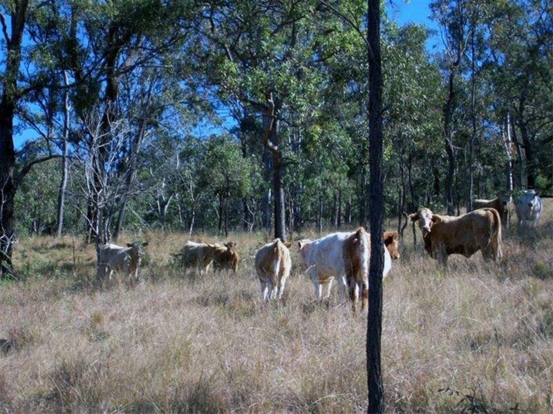 Alice Creek QLD 4610