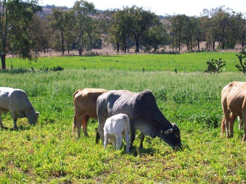 Alice Creek QLD 4610