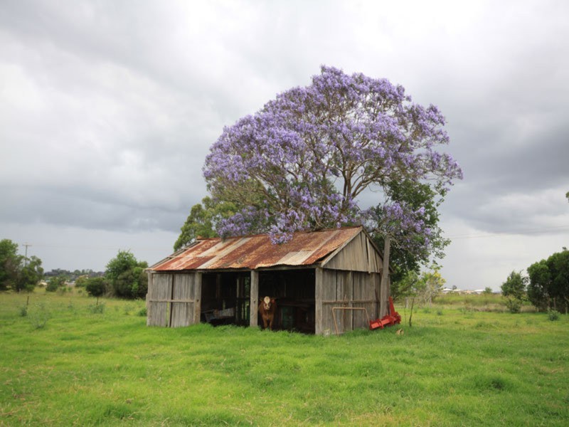 Kingaroy QLD 4610
