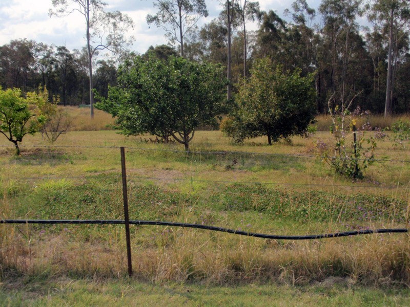 Ballogie QLD 4610