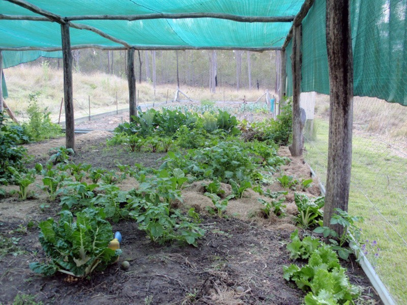 Ballogie QLD 4610