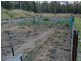 Ballogie QLD 4610