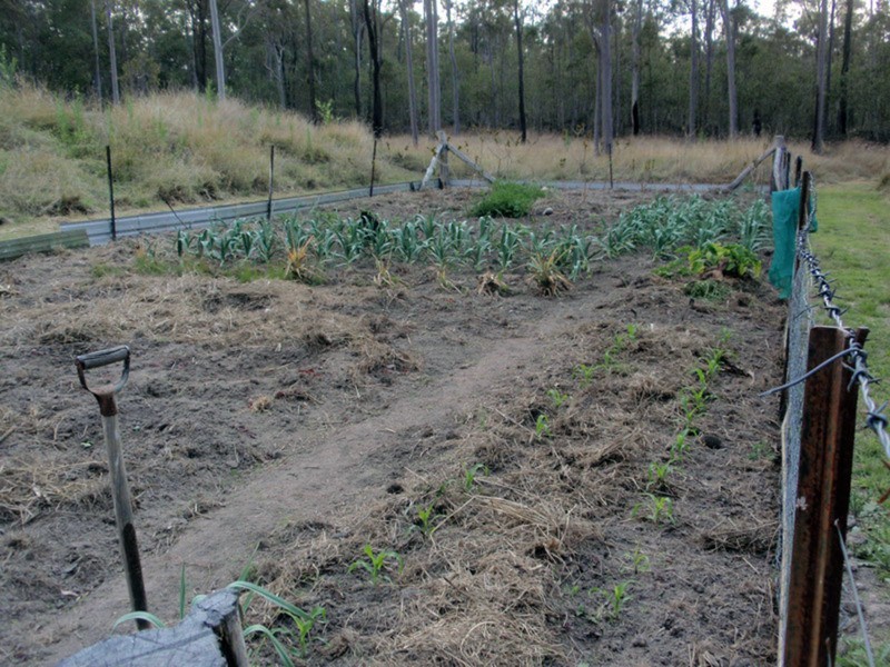 Ballogie QLD 4610