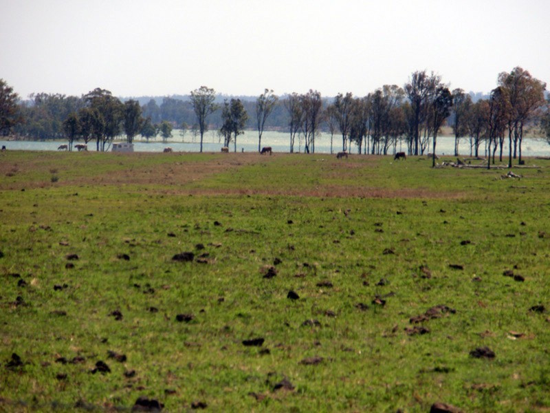Barambah QLD 4601