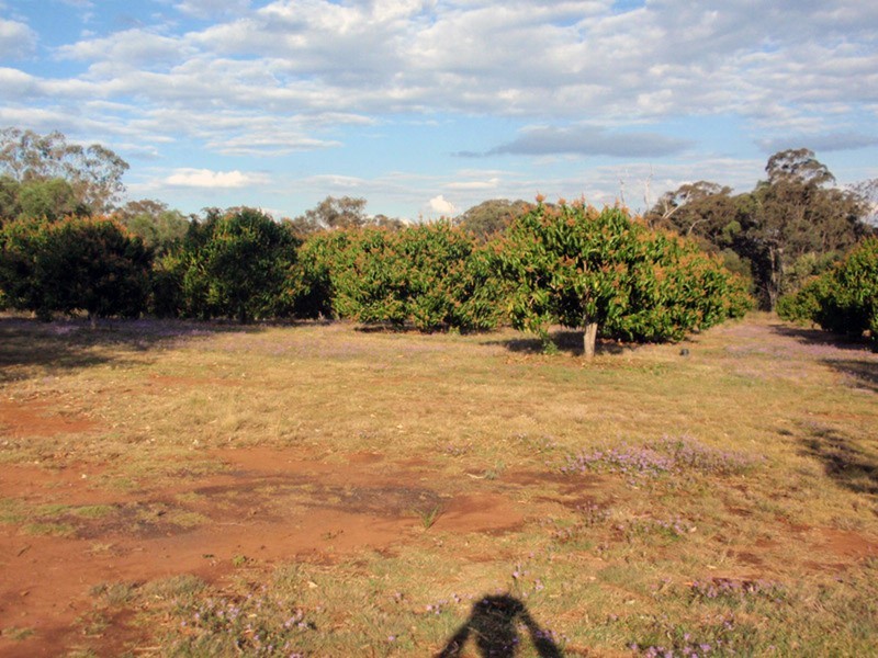 Proston QLD 4613