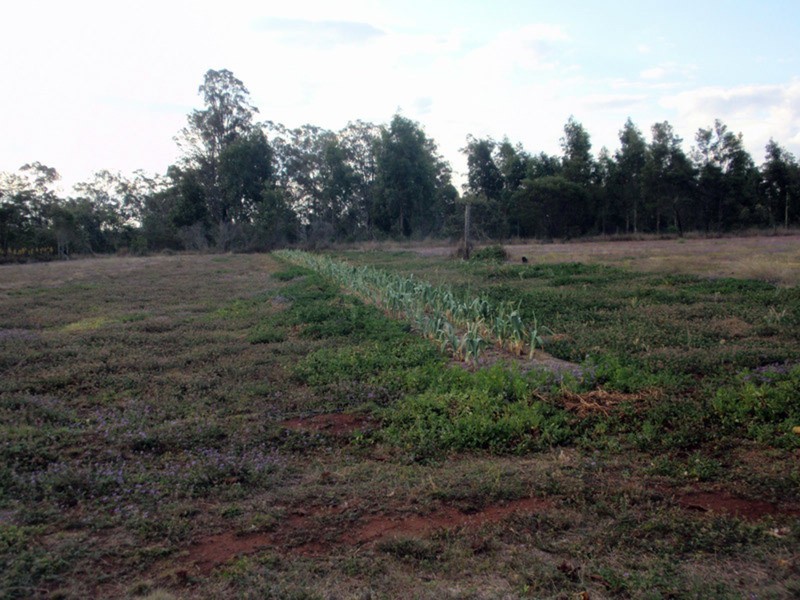 Proston QLD 4613