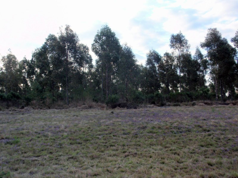 Proston QLD 4613