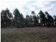 Proston QLD 4613