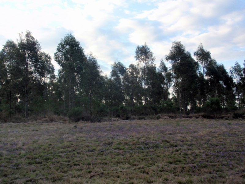 Proston QLD 4613