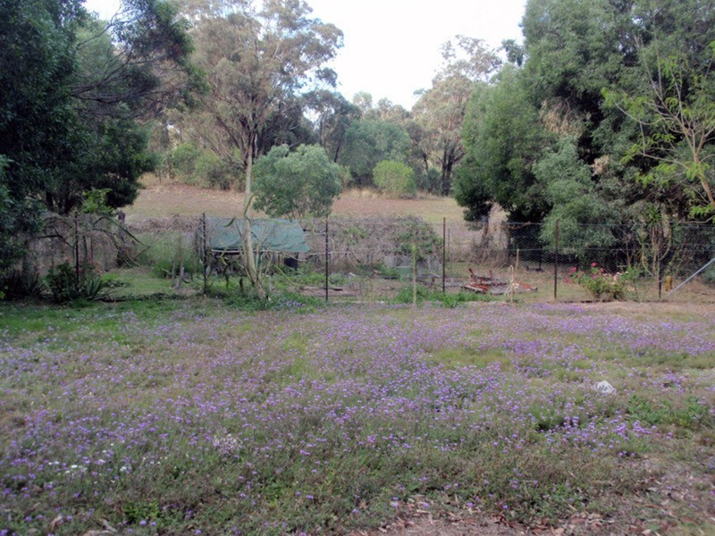 Proston QLD 4613