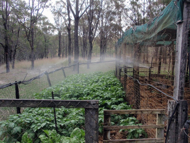 Ballogie QLD 4610