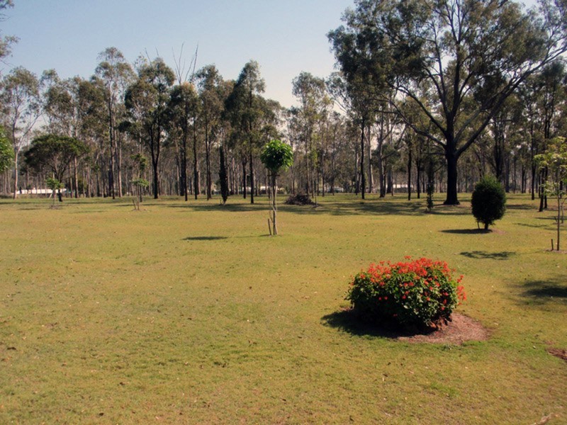 Wattle Camp QLD 4615