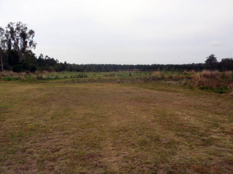 Hodgleigh QLD 4610