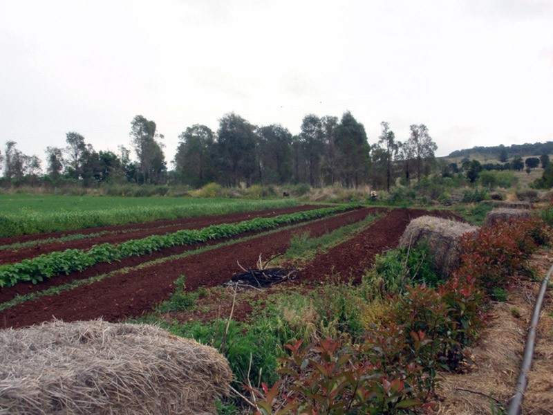 Hodgleigh QLD 4610