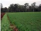 Hodgleigh QLD 4610