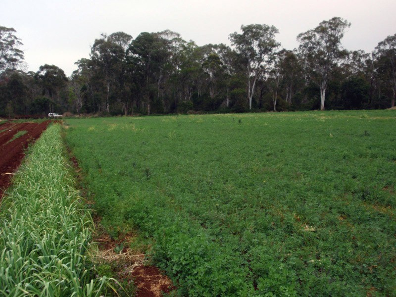 Hodgleigh QLD 4610