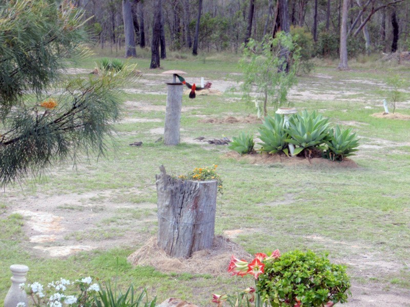 Gordonbrook QLD 4610