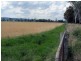 Brooklands QLD 4615