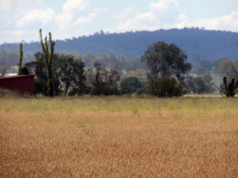 Brooklands QLD 4615