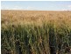 Benair QLD 4610