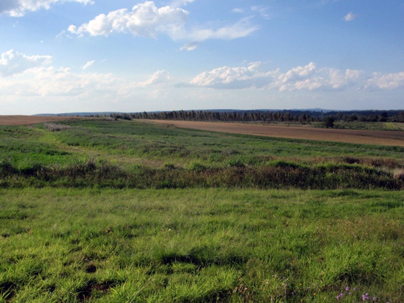 Benair QLD 4610