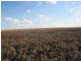 Benair QLD 4610