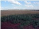 Benair QLD 4610
