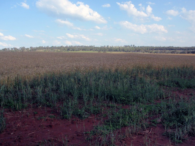 Benair QLD 4610
