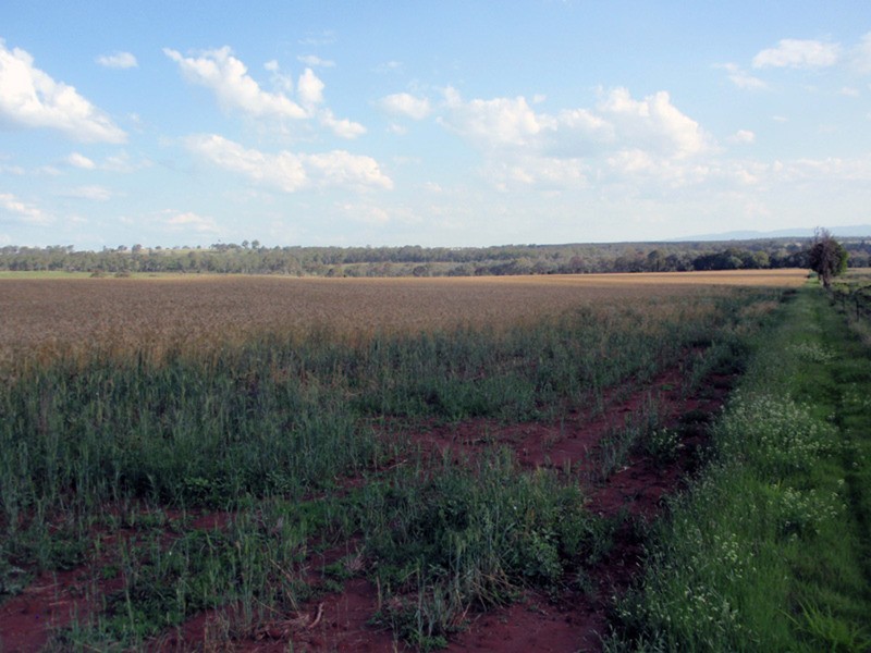 Benair QLD 4610