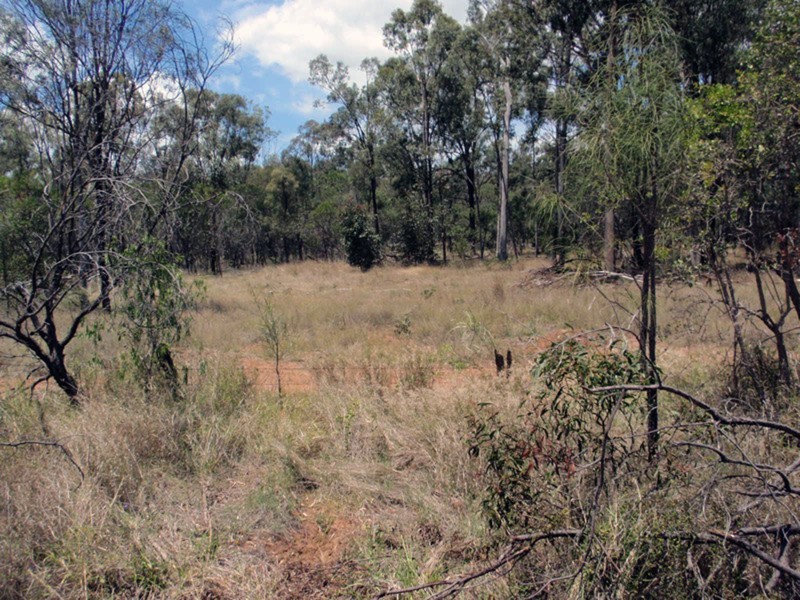 Jandowae QLD 4410