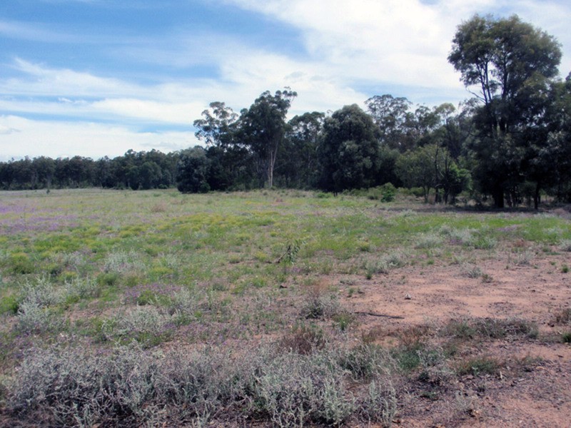 Durong QLD 4610