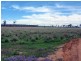 Durong QLD 4610