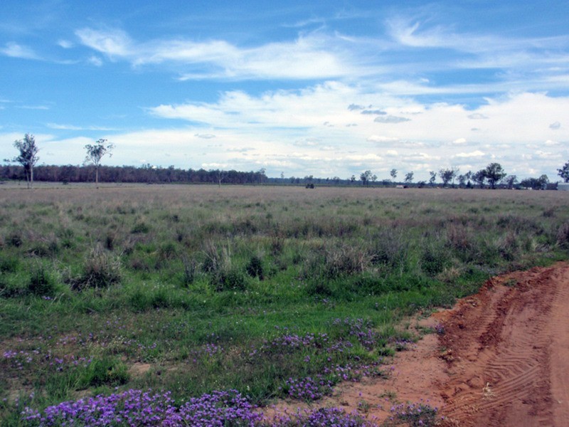 Durong QLD 4610