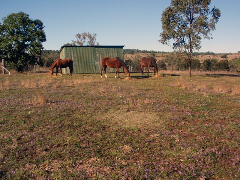 Tingoora QLD 4608