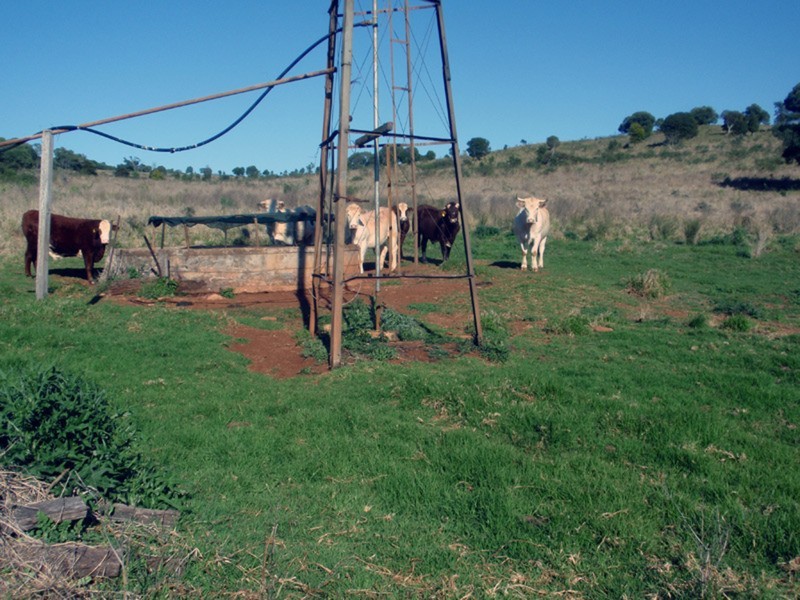 Tingoora QLD 4608