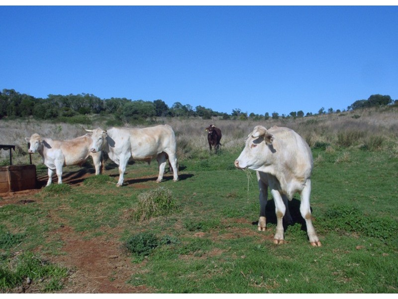 Tingoora QLD 4608