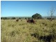 Tingoora QLD 4608