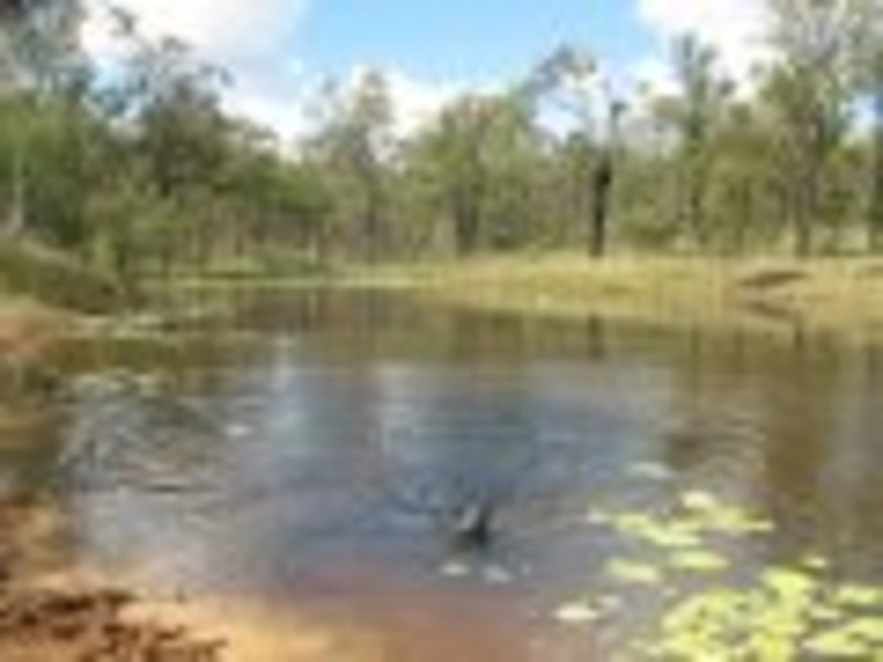 Wondai QLD 4606