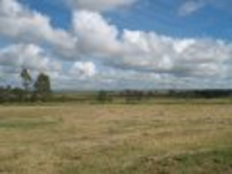 Wondai QLD 4606